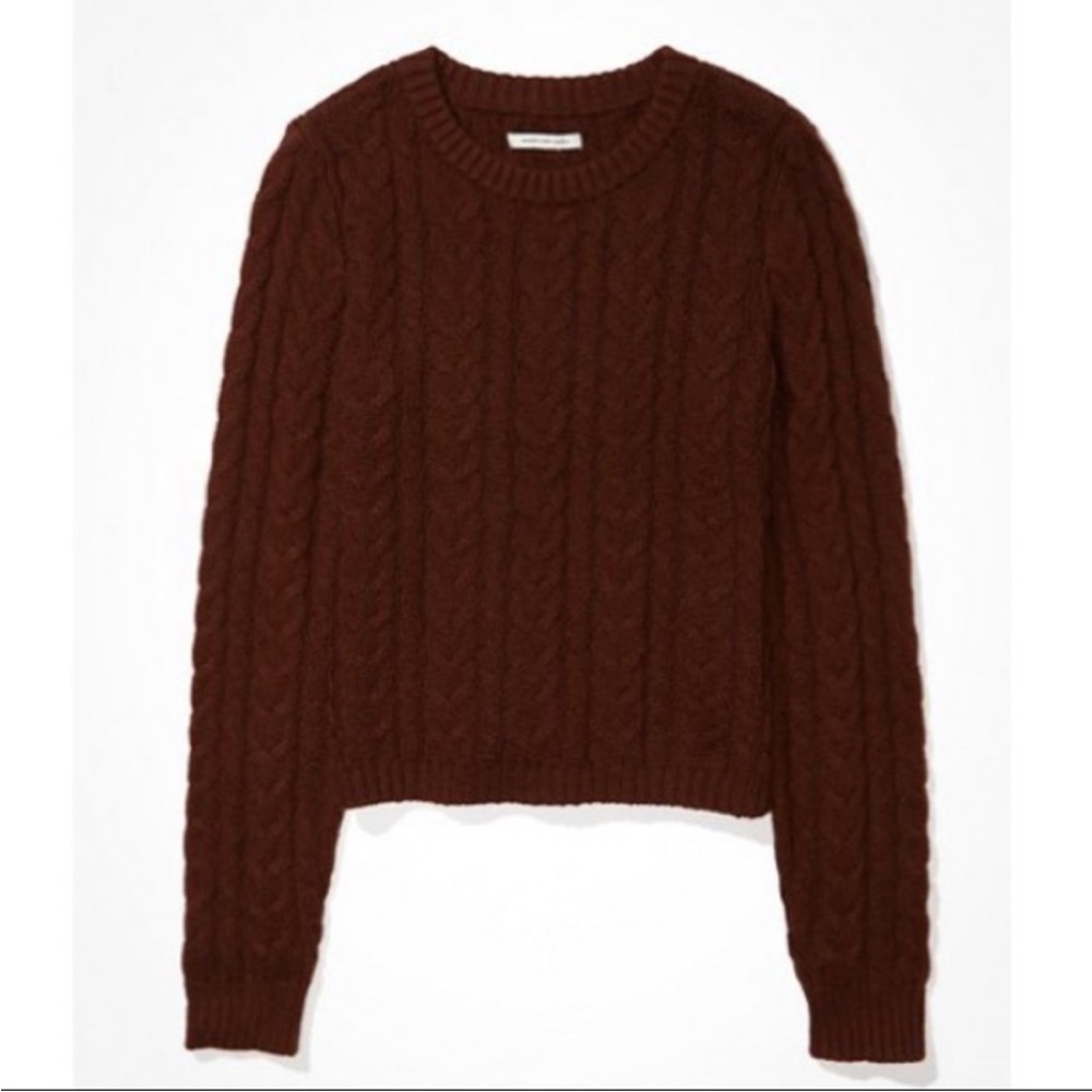 American Eagle Outfitters Cable Knit Crewneck Sweater - Dark Brown